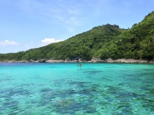 花与剑